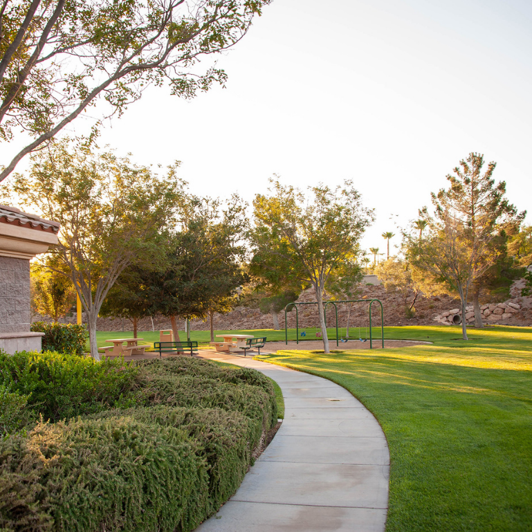 A park with a paved pathway, benches and trees