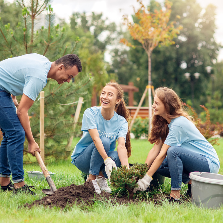 Volunteers planting trees together in a park, promoting community engagement and environmental sustainability